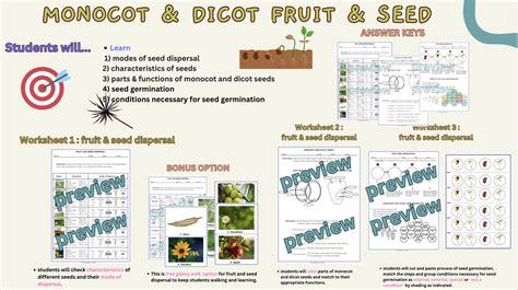 Seed Dispersal And Germination (Monocot and Dicot) | Teaching Resources