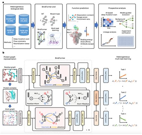 Ai For Science