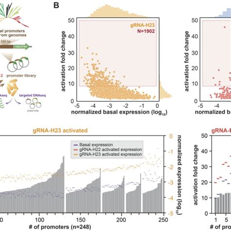 Multiplex reporter assay to identify inducible promoters using ... 
