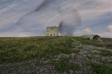 Riserva Di Torre Guaceto Area Marina Protetta E Riserva Naturale Di