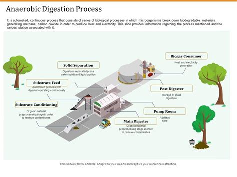 Anaerobic Digestion Process Ppt Powerpoint Presentation Styles Outline