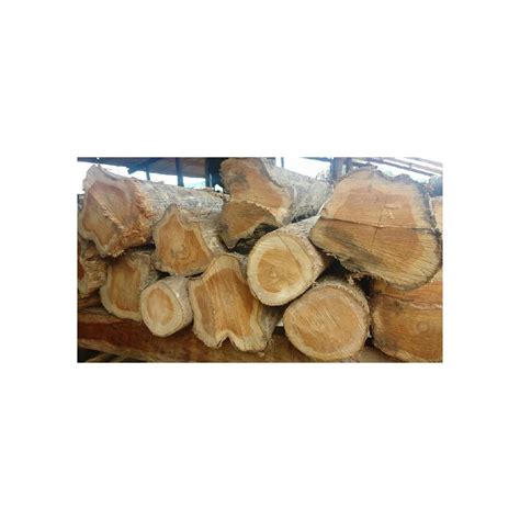 Pine Hardwood Timber Teak Wood Pine Wood Logs Oak Wood Logs For Supply At Cheap Price Buy