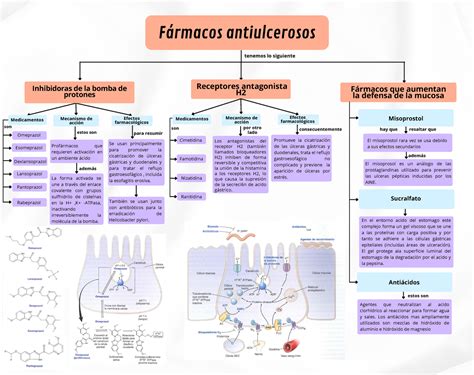 Cimetidina Mecanismo De A O Retoedu