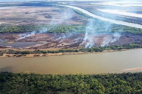 Detrás De Los Incendios En El Delta Inseguridad Y Falta De Controles