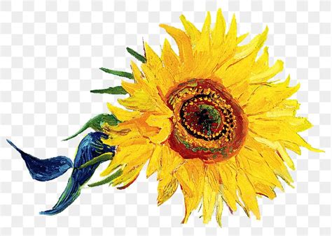 Sunflower Png Sticker Van Gogh S Premium Png Rawpixel