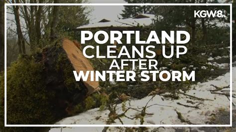 Crews Clean Up Downed Trees Across Portland After April Snowstorm YouTube