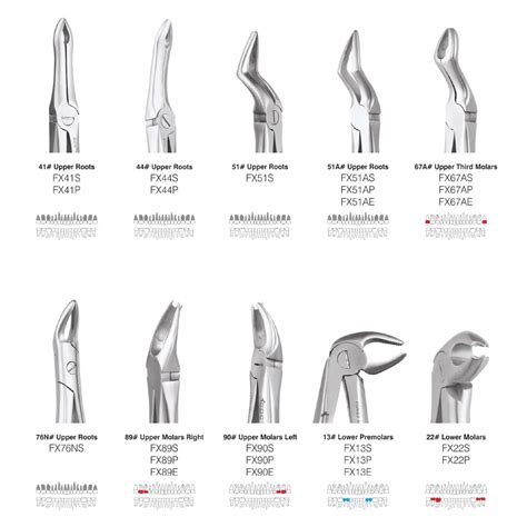 GDC Extraction Forceps Standard Dentalstall