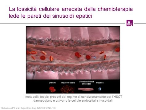 Fisiopatologia Della Malattia Veno Occlusiva Ppt Scaricare