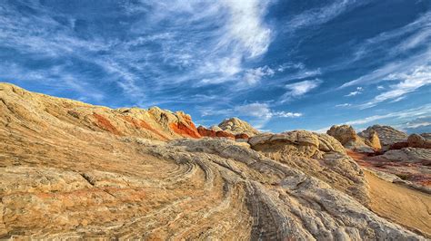 Sidewinder Photograph By Ceb Imagery Fine Art America