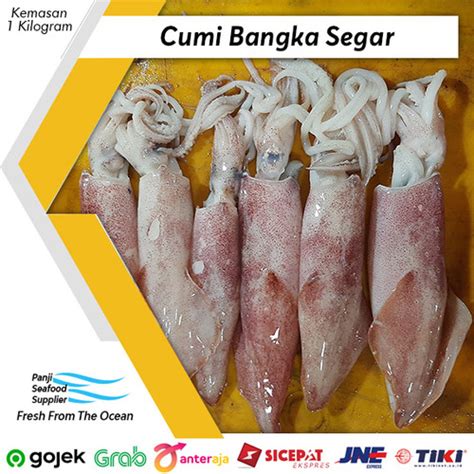 Jual Cumi Bangka Segar Fresh Gr Cumi Seafood Fresh Cumi Ikan Laut