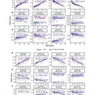 Select Age Related Cpgs Stratified By Sex A Cpgs That Change With