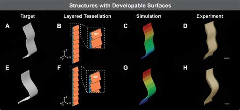 Scientists Develop 3D Printed Active Fabric For Medical Devices And