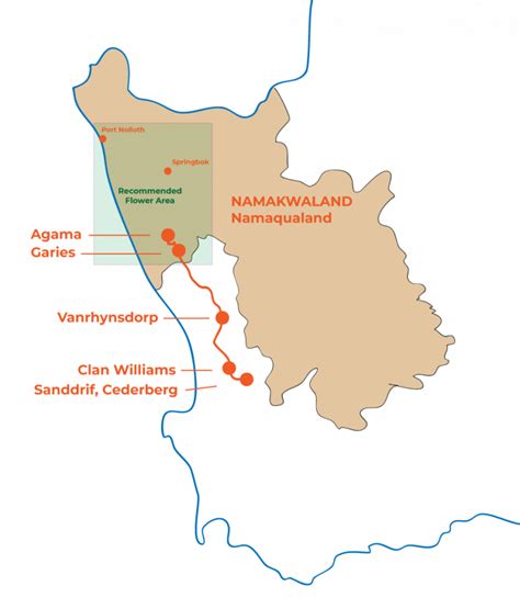 Brilliant Places To See Flowers In Namaqualand