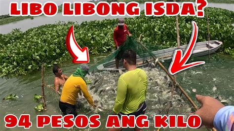 Libo Libong Isda Nahuli Na At Pagkuha Sa Pinagawa Kong Lambat