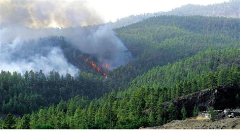 Un Incendio En Tenerife Arrasa M S De Cien Hect Reas La Provincia