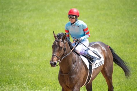 武豊騎手・今週の騎乗馬無傷のヤマニンウルスが今年初戦 2024年1月12日掲載 ライブドアニュース