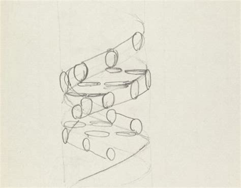 Double Helix Sketch at PaintingValley.com | Explore collection of ...