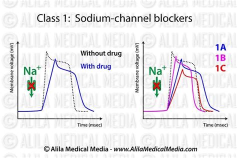 Alila Medical Media Action Of Sodium Channel Blockers Medical