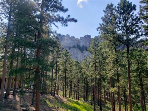 Mount Rushmore National Memorial South Dakota Stock Photo Image Of