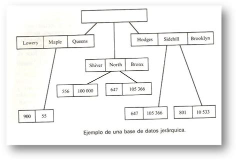 Total 107 imagen modelo jerárquico en base de datos Abzlocal mx