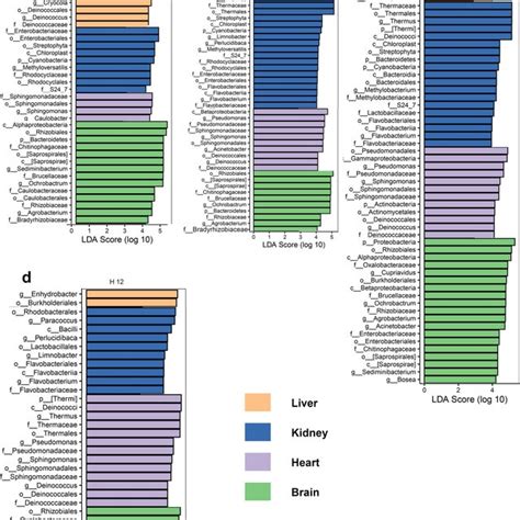 Lefse Analysis Of The Differential Abundance Of Individual Bacterial