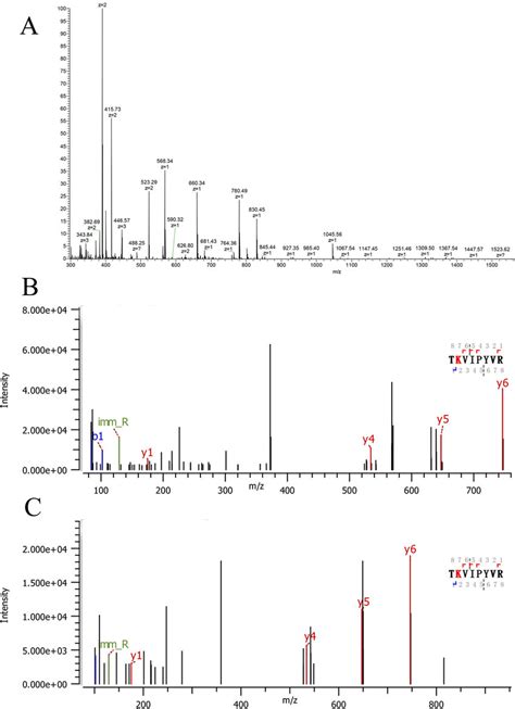 A HCD MS MS spectrum of β casein glycosylated peptide in the sequence