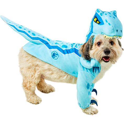 Blue Velociraptor Pet Costume