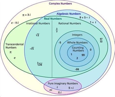 Organizing Real And Complex Numbers