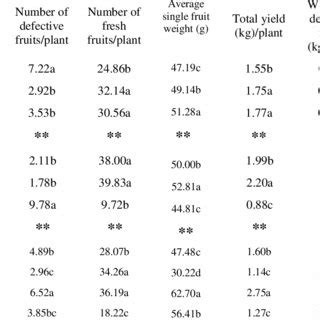 Interaction Effect Of Variety And Irrigation Interval On Yield And