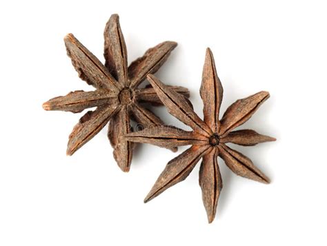 Top View Of Star Anise Fruits Stock Photo Image Of Organic Badian