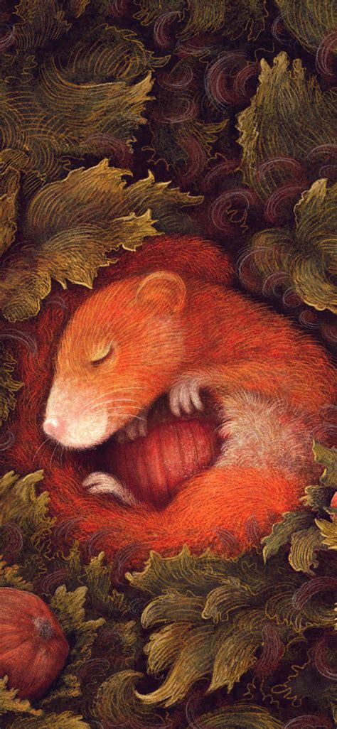 [100+] Animals Iphone Wallpapers | Wallpapers.com