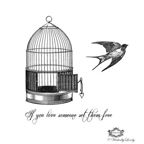 Birdcage Quotes - ShortQuotes.cc