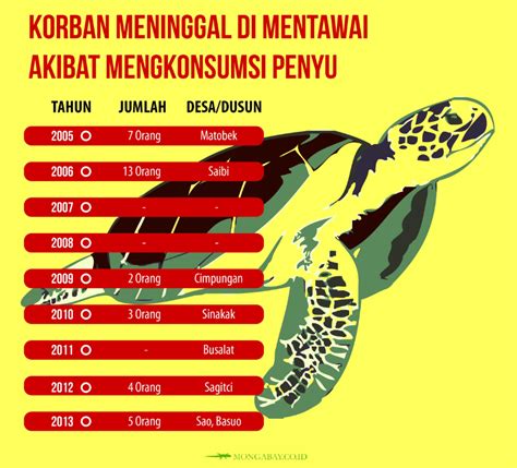 Kasus Keracunan Daging Penyu Mentawai Yayasan Penyu Indonesia