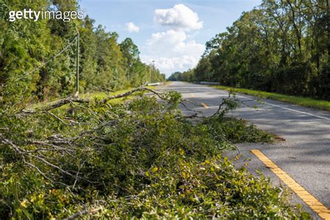 Storm Disaster Strikes North Florida Highway Fallen Tree And Power