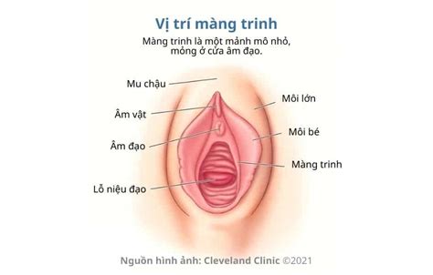 Cách dễ nhận biết màng trinh còn hay rách Hello Bacsi