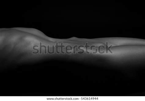 Image Sexy Nude Woman Body 스톡 사진 543614944 Shutterstock