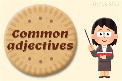 Common Italian Adjectives List Lingookies