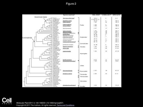 Distribution Of Fucosylated Xyloglucans Among The Walls Of Different