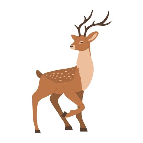 Premium Vector | Cute dear