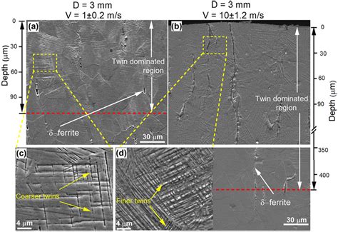 The Sem Micrographs Of The Cross Section Of Aisi 304l Steel Smated