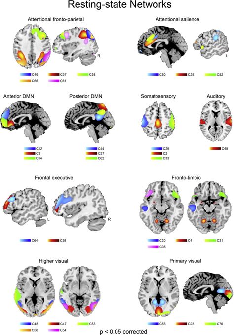 Resting State Networks Spatial Maps Of The Independent Components