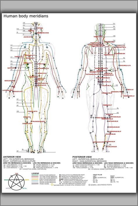 Meridians You Should Know About For Optimal Health