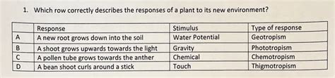 Answered Abc D 1 Which Row Correctly Describes Bartleby