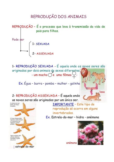 Questões Sobre Reprodução Sexuada E Assexuada Cultura Notícias