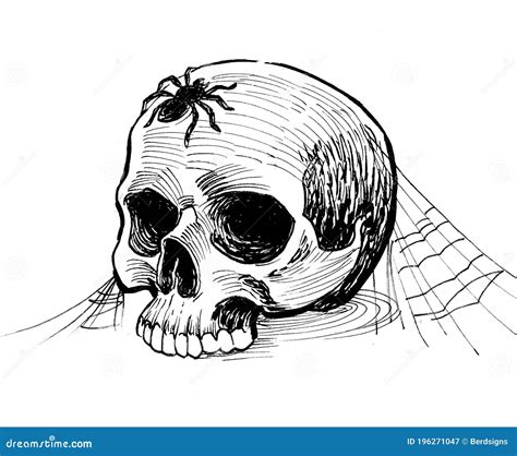 Skull and spider stock illustration. Illustration of sketch - 196271047