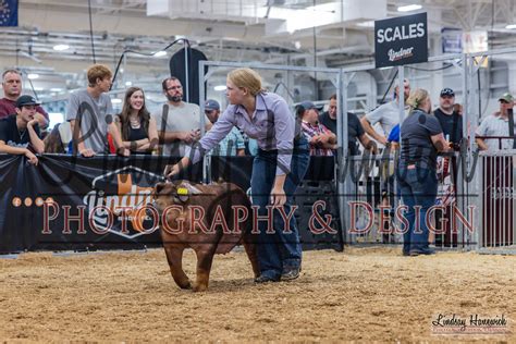 Duroc Div Lindsay Hanewich Photography And Design