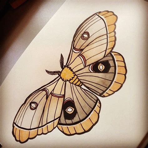 Moth Traditional Tattoo Design Traditional Tattoo Design Moth Tattoo