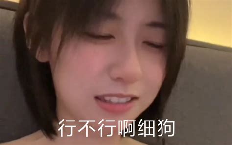 细狗 哔哩哔哩 bilibili