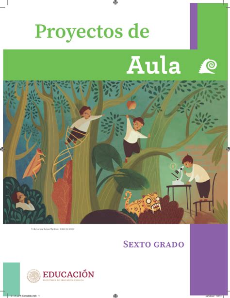 Libro De Proyectos De Aula Resuelto Primaria