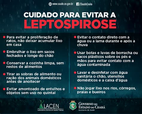 As Chuvas Importante Ter Cuidado Para Evitar Leptospirose